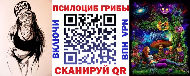 купить наркотик  МЕГА как войти  Псилоцибиновые грибы Psilocybe  Новое Девяткино 